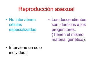Reproducción asexual 
• No intervienen 
células 
especializadas 
• Interviene un solo 
individuo. 
• Los descendientes 
son idénticos a los 
progenitores. 
(Tienen el mismo 
material genético). 
 