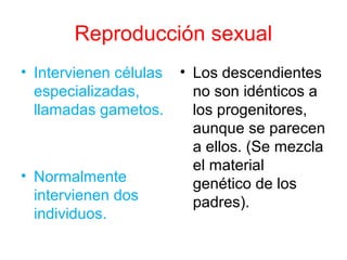 Reproducción sexual 
• Intervienen células 
especializadas, 
llamadas gametos. 
• Normalmente 
intervienen dos 
individuos. 
• Los descendientes 
no son idénticos a 
los progenitores, 
aunque se parecen 
a ellos. (Se mezcla 
el material 
genético de los 
padres). 
 