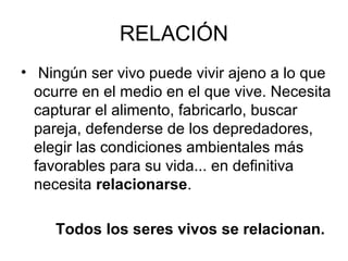 RELACIÓN 
• Ningún ser vivo puede vivir ajeno a lo que 
ocurre en el medio en el que vive. Necesita 
capturar el alimento, fabricarlo, buscar 
pareja, defenderse de los depredadores, 
elegir las condiciones ambientales más 
favorables para su vida... en definitiva 
necesita relacionarse. 
Todos los seres vivos se relacionan. 
 