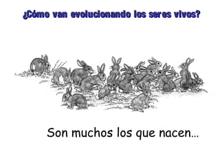 ¿Cómo van evolucionando llooss sseerreess vviivvooss?? 
Son muchos los que nacen… 
 