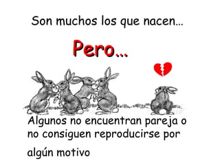 Son muchos los que nacen… 
PPeerroo…… 
Algunos no encuentran pareja o 
no consiguen reproducirse por 
algún motivo 
 