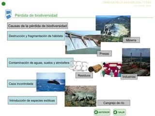 Pérdida de biodiversidad 
CIENCIAS DE LA NATURALEZA 1.º ESO 
ANTERIOR SALIR 
Los seres vivos 
Causas de la pérdida de biodiversidad 
Destrucción y fragmentación de hábitats 
Contaminación de aguas, suelos y atmósfera 
Caza incontrolada 
Introducción de especies exóticas 
Presas 
Minería 
Residuos Industrias 
Cangrejo de río 
 