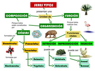 SERES VIVOS 
presentan una 
COMPOSICIÓN FUNCIÓN 
Unidad de 
ORGANIZACIÓN 
Porque todos 
realizan tres 
NUTRICIÓN REPRODUCCIÓN RELACIÓN 
Sexual 
Asexual 
Autótrofa 
Heterótrofa 
Porque todos 
están constituidos 
por 
CÉLULAS 
formadas por 
Biomoléculas Procariotas 
Eucariotas 
Animales 
Bioelementos Vegetales 
Funciones 
vitales 
puede ser puede ser 
formadas por 
