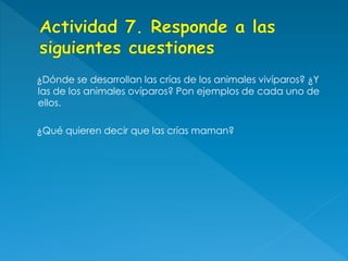 ¿Dónde se desarrollan las crías de los animales vivíparos? ¿Y
las de los animales ovíparos? Pon ejemplos de cada uno de
ellos.
¿Qué quieren decir que las crías maman?
 