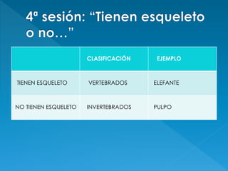 CLASIFICACIÓN EJEMPLO
TIENEN ESQUELETO VERTEBRADOS ELEFANTE
NO TIENEN ESQUELETO INVERTEBRADOS PULPO
 