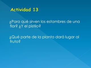 ¿Para qué sirven los estambres de una
flor? ¿Y el pistilo?
¿Qué parte de la planta dará lugar al
fruto?
 