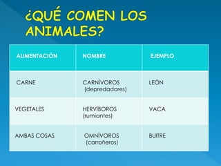 ALIMENTACIÓN NOMBRE EJEMPLO
CARNE CARNÍVOROS
(depredadores)
LEÓN
VEGETALES HERVÍBOROS
(rumiantes)
VACA
AMBAS COSAS OMNÍVOROS
(carroñeros)
BUITRE
 