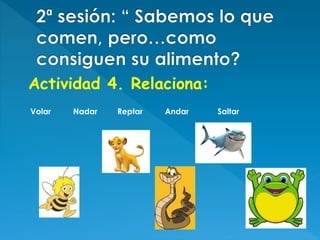 Actividad 4. Relaciona:
Volar Nadar Reptar Andar Saltar
 