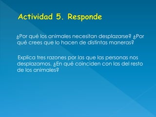¿Por qué los animales necesitan desplazarse? ¿Por
qué crees que lo hacen de distintas maneras?
Explica tres razones por las que las personas nos
desplazamos. ¿En qué coinciden con las del resto
de los animales?
 