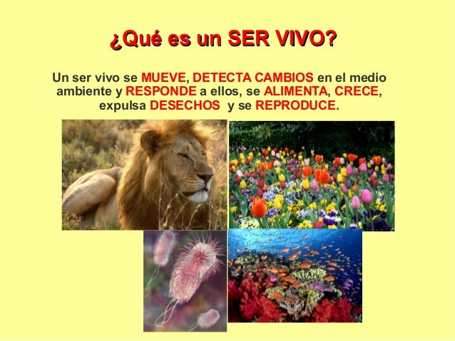 1ºESO: Los Seres Vivos