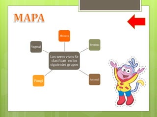 Los seres vivos Se
clasifican en los
siguientes grupos
Mónera
Protista
AnimalFungí
Vegetal
 