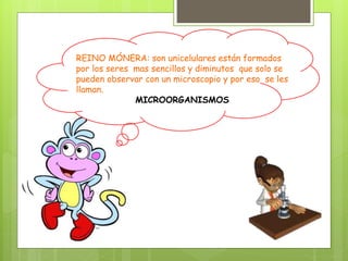 REINO MÓNERA: son unicelulares están formados
por los seres mas sencillos y diminutos que solo se
pueden observar con un microscopio y por eso se les
llaman.
MICROORGANISMOS
 