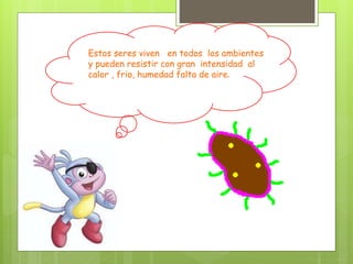 Estos seres viven en todos los ambientes
y pueden resistir con gran intensidad al
calor , frio, humedad falta de aire.
 
