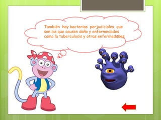 También hay bacterias perjudiciales que
son las que causen daño y enfermedades
como la tuberculosis y otras enfermedades
 
