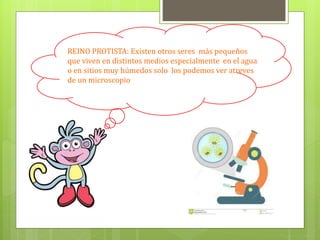 REINO PROTISTA: Existen otros seres más pequeños
que viven en distintos medios especialmente en el agua
o en sitios muy húmedos solo los podemos ver atreves
de un microscopio
 