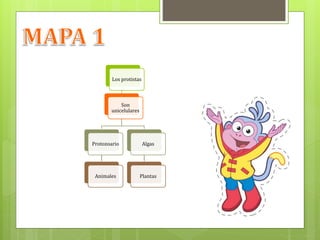 Los protistas
Son
unicelulares
Protozoario
Animales
Algas
Plantas
 
