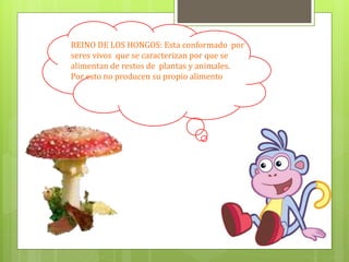 REINO DE LOS HONGOS: Esta conformado por
seres vivos que se caracterizan por que se
alimentan de restos de plantas y animales.
Por esto no producen su propio alimento
 