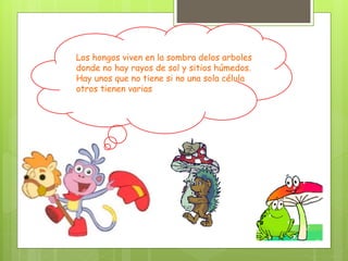 Los hongos viven en la sombra delos arboles
donde no hay rayos de sol y sitios húmedos.
Hay unos que no tiene si no una sola célula
otros tienen varias
 