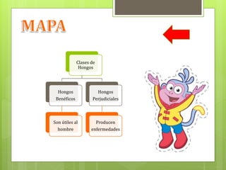 Clases de
Hongos
Hongos
Benéficos
Son útiles al
hombre
Hongos
Perjudiciales
Producen
enfermedades
 