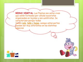 REINO VEGETAL: Las Plantas son seres vivos
que están formados por células eucariotas
organizadas en tejidos y son autótrofas. Se
caracterizan porque todas
tienen raíz, tallo y hojas, aunque estas partes
puedan ser muy diferentes en las distintas
especies
 