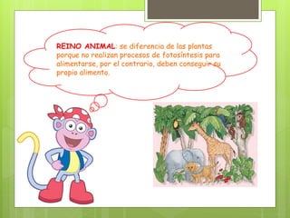 REINO ANIMAL: se diferencia de las plantas
porque no realizan procesos de fotosíntesis para
alimentarse, por el contrario, deben conseguir su
propio alimento.
 
