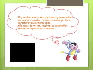 Hay muchos seres vivos que tienen gran variedad
de colores , tamaños formas, sin embargo tiene
características comunes como:
que nacen, se nutren, respiran, se desarrollan,
crecen, se reproducen y mueren.
 