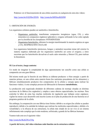Podemos ver el funcionamiento de una célula eucariota en cualquiera de estos dos vídeos:
http://youtu.be/iUQ3IbwXN50, http://youtu.be/hBTImxRZrDM
5.- OBTENCIÓN DE ENERGÍA
Los organismos celulares pueden ser autótrofos o heterótrofos.
- Organismos autótrofos: transforman compuestos inorgánicos (agua, CO2 y sales
minerales) en compuestos orgánicos (glúcidos) y oxígeno utilizando la luz solar captada
por la clorofila de los cloroplastos: FOTOSÍNTESIS
- Organismos heterótrofos: obtienen la energía transformando la materia orgánica en agua
y CO2: RESPIRACIÓN CELULAR
Los organismos heterótrofos (protozoos, hongos y animales) necesitan tomar del exterior la
materia orgánica elaborada por los organismos autótrofos así como el oxígeno; y éstos
necesitan que los heterótrofos devuelvan al suelo sales minerales y liberen CO2 para realizar
la fotosíntesis
S5. Lee el texto y luego contesta:
Un modo de imaginar la complejidad de algo aparentemente tan sencillo como una célula es
compararla con una gran fábrica.
Del mismo modo que la función de una fábrica es elaborar productos -o bien energía- a partir de
materias primas, en una célula entra materia bruta (los nutrientes procedentes de los alimentos) y
fabrican simultáneamente productos (los componentes de la célula) y energía (para realizar las
funciones vitales). A este complejo proceso de fabricación le llamamos metabolismo.
La producción está organizada alrededor de diferentes cadenas de montaje situadas en distintas
secciones de la fábrica (los orgánulos) y emplea a unos obreros especializados, las encimas. Para
controlar la labor de estas hay muchas moléculas de regulación que trabajan como capataces:
vigilan las tareas cuyo desarrollo está inscrito (como en el plan de producción de una factoría) en el
programa genético de la célula.
Sin embargo, la comparación con una fábrica tiene límites: debido a su origen (las células se pueden
reproducir), debido a la cantidad de trabajos que realizan las moléculas especializadas y debido a la
versatilidad y a la eficacia de sus estructuras, la célula más simple de un ser vivo es un sistema
infinitamente más complejo que la más moderna, sofisticada y grande de las fábricas humanas.
Veamos todo esto en el siguiente vídeo
http://youtu.be/IKcK29LwY8g
A partir del texto y del vídeo relaciona cada función con la estructura celular:
 