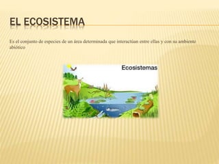 Los seres vivos | PPTX