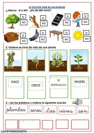 EL CICLO DE VIDA DE LAS PLANTAS
1.-Marca SI o NO ¿ES UN SER VIVO?
2.-Ordena el ciclo de vida de una planta
3.- Lee las palabras y ordena la siguiente oración
Las plantas son seres vivos.
SI
NO
SI SI
SI
SI
SI
SI SI
NO NO
NO
NO NO
NO
NO
NACE MUERE
CRECE
SE
REPRODUCE
Las
plantas seres vivos.
..s
son
 