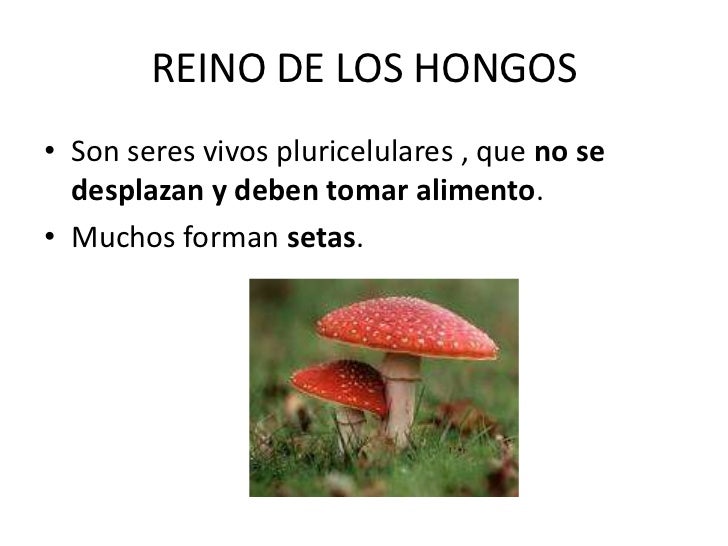 Sanar el hongo sobre las uñas por una aplicación