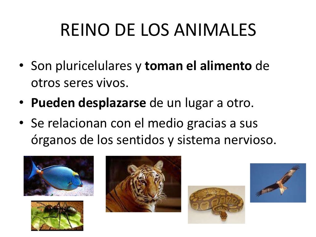 Los cinco reinos de seres vivos 5º de Primaria