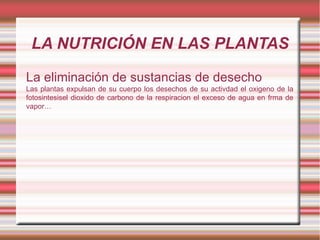 LA NUTRICIÓN EN LAS PLANTAS La eliminación de sustancias de desecho Las plantas expulsan de su cuerpo los desechos de su activdad el oxigeno de la fotosintesisel dioxido de carbono de la respiracion el exceso de agua en frma de vapor… 