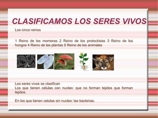 CLASIFICAMOS LOS SERES VIVOS Los cinco reinos 1 Reino de los momeras 2 Reino de los protoctistas 3 Reino de los hongos 4 Reino de las plantas 5 Reino de los animales Los seres vivos se clasifican Los que tienen celulas con nucleo: que no forman tejidos que forman tejidos. En los que tienen celulas sin nucleo: las bacterias. 