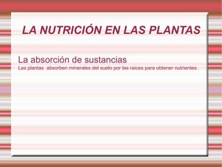 LA NUTRICIÓN EN LAS PLANTAS La absorción de sustancias Las plantas  absorben minerales del suelo por las raices para obtener nutrientes  . 