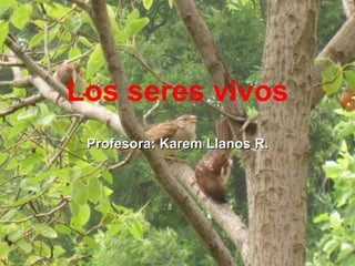Los seres vivos
 Profesora: Karem Llanos R.
 