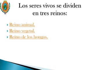  Reino animal.
 Reino vegetal.
 Reino de los hongos.
 