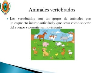  Los vertebrados son un grupo de animales con
un esqueleto interno articulado, que actúa como soporte
del cuerpo y permite su movimiento
 