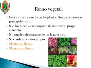  Está formados por todas las plantas. Sus características
principales son:
 Son los únicos seres capaces de fabricar su propio
alimento.
 No pueden desplazarse de un lugar a otro.
 Se clasifican en dos grupos:
 Plantas sin flores.
 Plantas con flores.
 