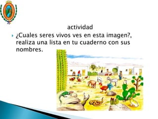 actividad
 ¿Cuales seres vivos ves en esta imagen?,
realiza una lista en tu cuaderno con sus
nombres.
 