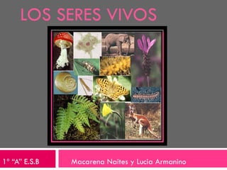 LOS SERES VIVOS 1º “A” E.S.B  Macarena Naites y Lucia Armanino 