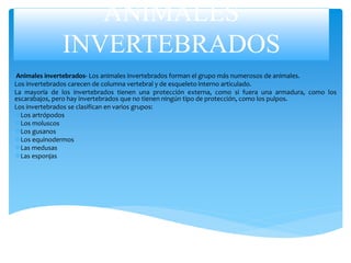 ANIMALES
INVERTEBRADOS
Animales invertebrados- Los animales invertebrados forman el grupo más numerosos de animales.
Los invertebrados carecen de columna vertebral y de esqueleto interno articulado.
La mayoría de los invertebrados tienen una protección externa, como si fuera una armadura, como los
escarabajos, pero hay invertebrados que no tienen ningún tipo de protección, como los pulpos.
Los invertebrados se clasifican en varios grupos:
Los artrópodos
Los moluscos
Los gusanos
Los equinodermos
Las medusas
Las esponjas
 