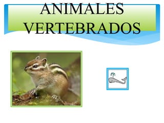 ANIMALES
VERTEBRADOS
 