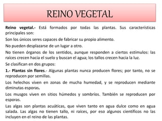 REINO VEGETAL
Reino vegetal.- Está formados por todas las plantas. Sus características
principales son:
Son los únicos seres capaces de fabricar su propio alimento.
No pueden desplazarse de un lugar a otro.
No tienen órganos de los sentidos, aunque responden a ciertos estímulos: las
raíces crecen hacia el suelo y buscan el agua; los tallos crecen hacia la luz.
Se clasifican en dos grupos:
1.- Plantas sin flores.- Algunas plantas nunca producen flores; por tanto, no se
reproducen por semillas.
Los helechos viven en zonas de mucha humedad, y se reproducen mediante
diminutas esporas.
Los musgos viven en sitios húmedos y sombríos. También se reproducen por
esporas.
Las algas son plantas acuáticas, que viven tanto en agua dulce como en agua
salada. Las algas no tienen tallo, ni raíces, por eso algunos científicos no las
incluyen en el reino de las plantas.
 