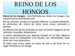 REINO DE LOS
HONGOSReino de los hongos.- Está formado por todos los hongos. Sus
características principales son:
No son plantas, porque no pueden fabricar su propio alimento.
Se alimentan de restos de otros seres vivos, animales y
plantas.
Se diferencian de los animales en que no tienen órganos de los
sentidos ni pueden desplazarse.
La parte reproductora de algunos hongos es la seta. Algunas
setas como el champiñón o el níscalo, son comestibles, pero
otras son muy venenosas.
El moho que crece sobre un trozo de pan o de fruta en un
lugar húmedo es un hongo.
 