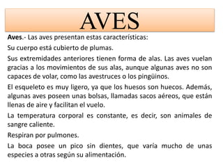 AVESAves.- Las aves presentan estas características:
Su cuerpo está cubierto de plumas.
Sus extremidades anteriores tienen forma de alas. Las aves vuelan
gracias a los movimientos de sus alas, aunque algunas aves no son
capaces de volar, como las avestruces o los pingüinos.
El esqueleto es muy ligero, ya que los huesos son huecos. Además,
algunas aves poseen unas bolsas, llamadas sacos aéreos, que están
llenas de aire y facilitan el vuelo.
La temperatura corporal es constante, es decir, son animales de
sangre caliente.
Respiran por pulmones.
La boca posee un pico sin dientes, que varía mucho de unas
especies a otras según su alimentación.
 