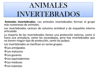 ANIMALES INVERTEBRADOSAnimales invertebrados- Los animales invertebrados forman el grupo más numerosos de animales. Los invertebrados carecen de columna vertebral y de esqueleto interno articulado.La mayoría de los invertebrados tienen una protección externa, como si fuera una armadura, como los escarabajos, pero hay invertebrados que no tienen ningún tipo de protección, como los pulpos.     Los invertebrados se clasifican en varios grupos:Los artrópodos