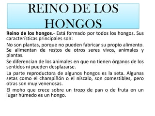 Las esponjasREINO VEGETALReino vegetal.- Está formados por todas las plantas. Sus características principales son:Son los únicos seres capaces de fabricar su propio alimento.No pueden desplazarse de un lugar a otro.No tienen órganos de los sentidos, aunque responden a ciertos estímulos: las raíces crecen hacia el suelo y buscan el agua; los tallos crecen hacia la luz.Se clasifican en dos grupos:1.- Plantas sin flores.- Algunas plantas nunca producen flores; por tanto, no se reproducen por semillas.Los helechos viven en zonas de mucha humedad, y se reproducen mediante diminutas esporas.Los musgos viven en sitios húmedos y sombríos. También se reproducen por esporas.Las algas son plantas acuáticas, que viven tanto en agua dulce como en agua salada. Las algas no tienen tallo, ni raíces, por eso algunos científicos no las incluyen en el reino de las plantas. 