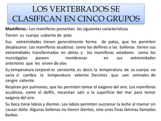 LOS VERTEBRADOS SE CLASIFICAN EN CINCO GRUPOSMamíferos.- Los mamíferos presentan  las siguientes característicasTienen  su  cuerpo  cubierto de  pelo.Sus  extremidades tienen generalmente forma  de patas, que les permiten desplazarse. Los mamíferos acuáticos  como los delfines o las  ballenas  tienen sus extremidades transformadas en aletas y  los mamíferos voladores  como los murciégalos poseen  membranas  en sus extremidades anteriores  que  les  sirven de alasSu temperatura corporal es  constante, es  decir, la  temperatura  de  su cuerpo  no varia si  cambia  la  temperatura  exterior. Decimos  que  son  animales de sangre  caliente.Respiran por pulmones, que les permiten tomar el oxígeno del aire. Los mamíferos acuáticos, como el delfín, necesitan salir a la superficie del mar para tomar oxígeno del aire.Su boca tiene labios y dientes. Los labios permiten succionar la leche al mamar sin causar daño. Algunas ballenas no tienen dientes, sino unas finas láminas llamadas barbas 