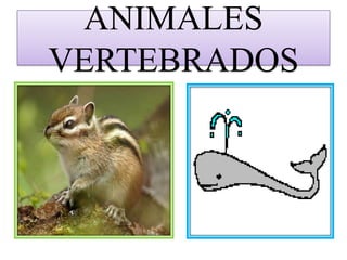 ANIMALES VERTEBRADOS