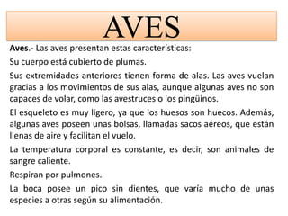 AVESAves.- Las aves presentan estas características:Su cuerpo está cubierto de plumas.Sus extremidades anteriores tienen forma de alas. Las aves vuelan gracias a los movimientos de sus alas, aunque algunas aves no son capaces de volar, como las avestruces o los pingüinos.El esqueleto es muy ligero, ya que los huesos son huecos. Además, algunas aves poseen unas bolsas, llamadas sacos aéreos, que están llenas de aire y facilitan el vuelo.La temperatura corporal es constante, es decir, son animales de sangre caliente.Respiran por pulmones.La boca posee un pico sin dientes, que varía mucho de unas especies a otras según su alimentación.